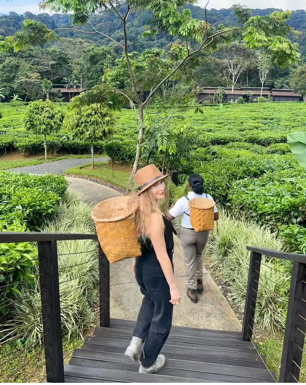 Traveller on tea plantation tour Rwanda with local guide